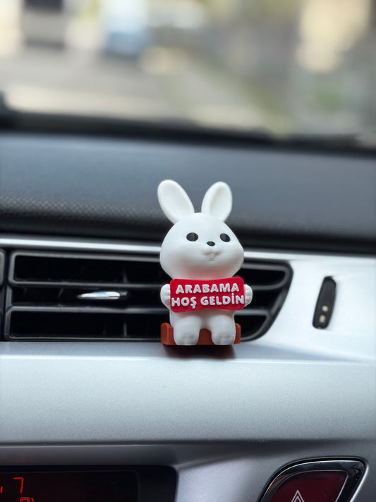 Sadece Dikiz Aynasında Rahat Eden Tavşan